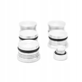 Zaślepki kolektora Alfa Fiat Lancia 2.4 20V JTDM