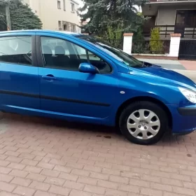 Peugeot 307 1.6 benzyna