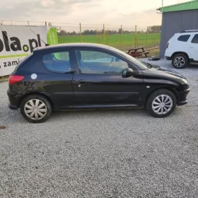 Peugeot 206*1,6 benzyna