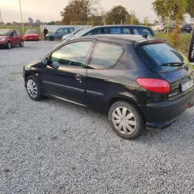 Peugeot 206*1,6 benzyna