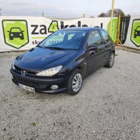 Peugeot 206*1,6 benzyna