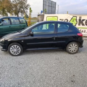 Peugeot 206*1,6 benzyna